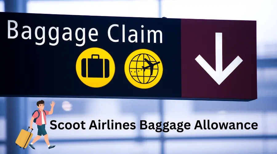 Scoot Airlines Baggage Allowance